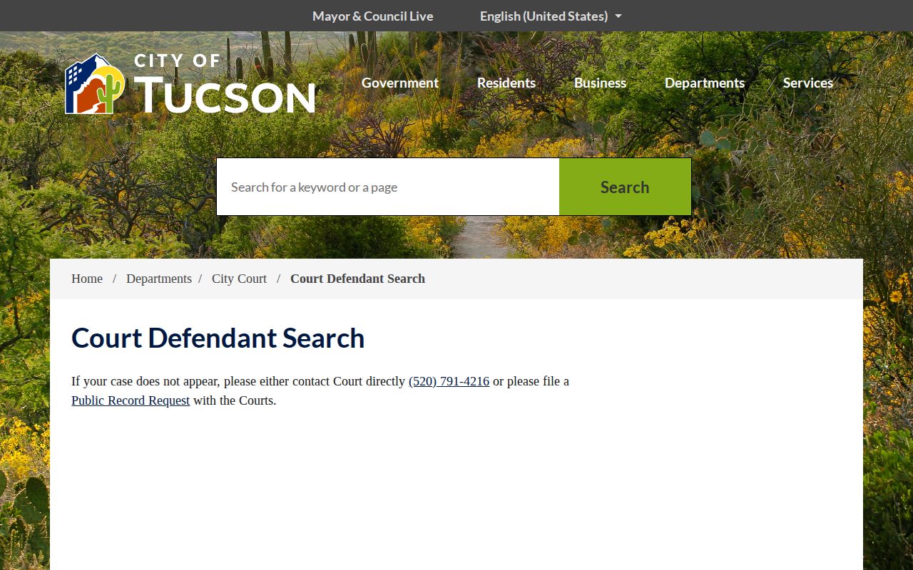 Tucson City Court defendant search fields